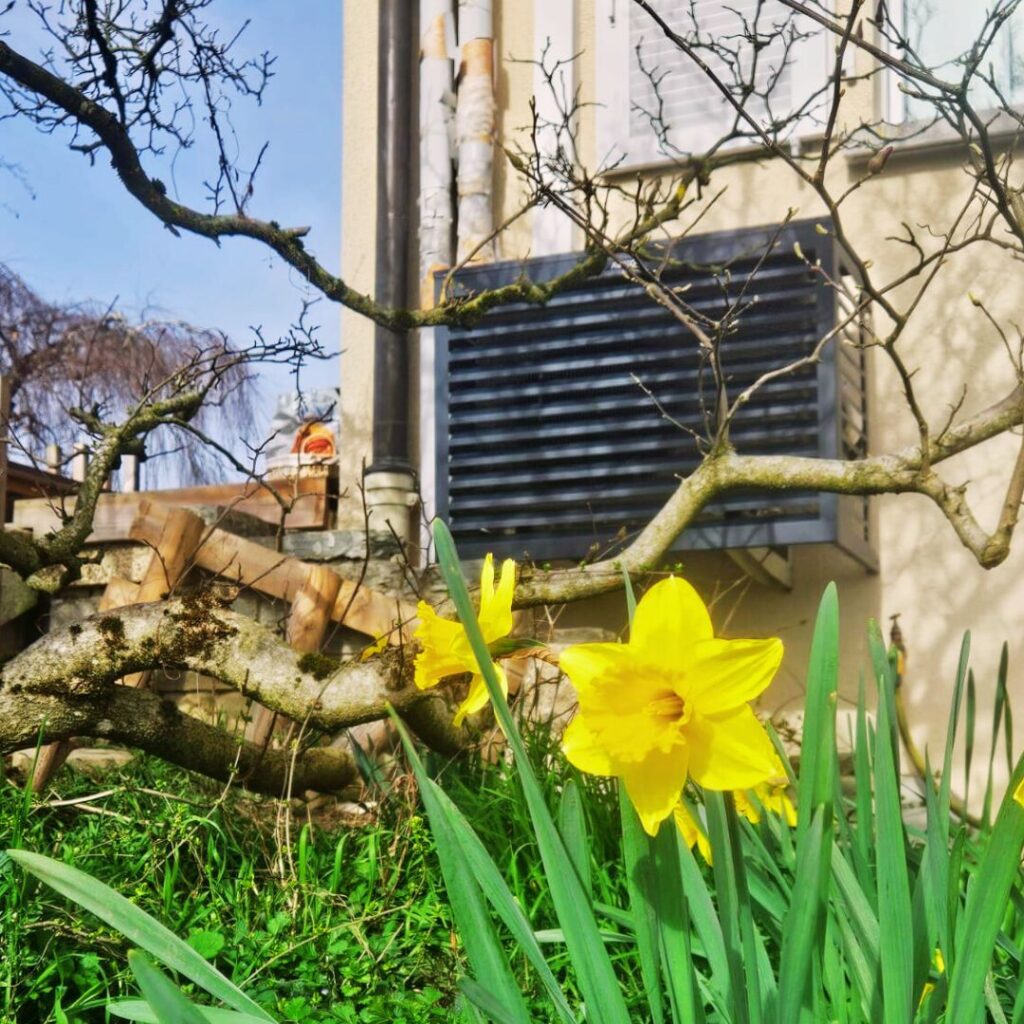 Comment dissimuler une climatisation en intérieur avec style et efficacité ?